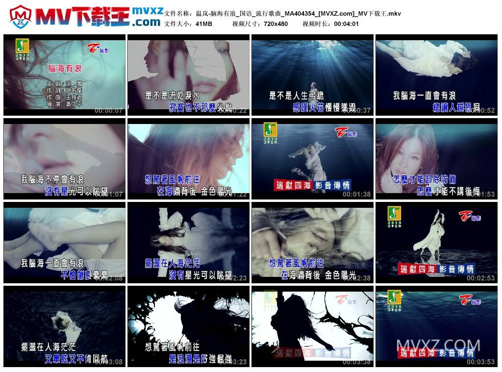 温岚-脑海有浪_国语_流行歌曲_MA404354